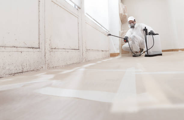 24/7 Emergency Commercial Mold Remediation experts in Springfield, GA